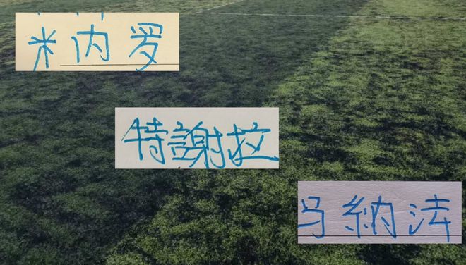 御三家年底合同到期外援 申花有米内罗等3人 山东泰山有2人