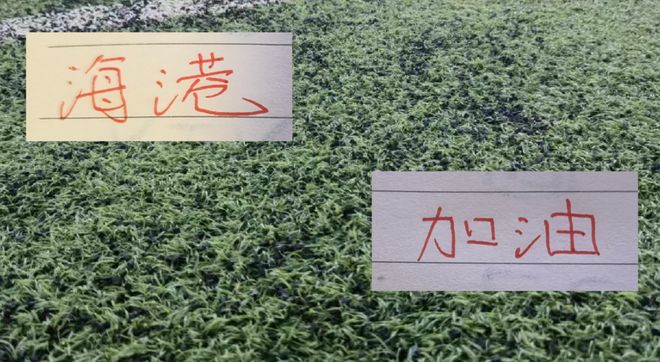 间歇期后! 领头羊成都蓉城剩余比赛刚4场 但卫冕冠军海港是多达10场左右